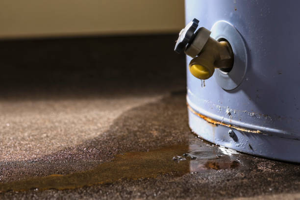 Best Ceiling water damage repair  in Red Boiling Springs, TN