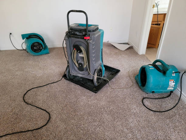 Best Water damage restoration near me  in Red Boiling Springs, TN