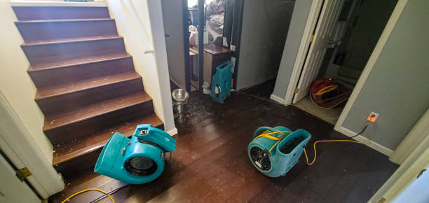 Best Water damage contractors near me  in Red Boiling Springs, TN