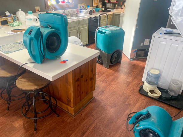 Best Emergency water damage restoration  in Red Boiling Springs, TN