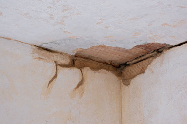 Water damage restoration insurance claims in TN