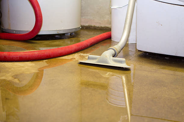 Best Local water damage restoration  in Red Boiling Springs, TN