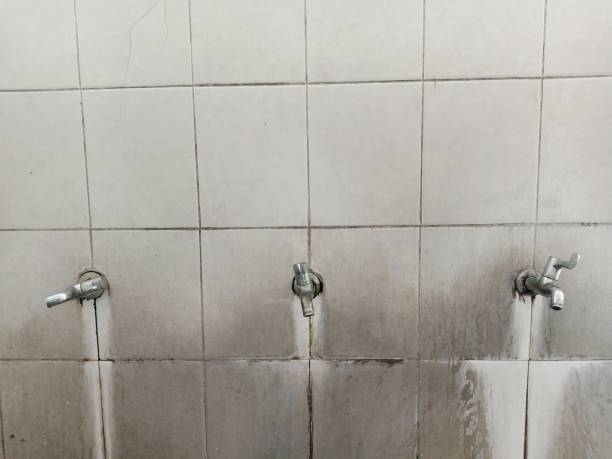 Best Sewage cleanup and water damage restoration  in Red Boiling Springs, TN