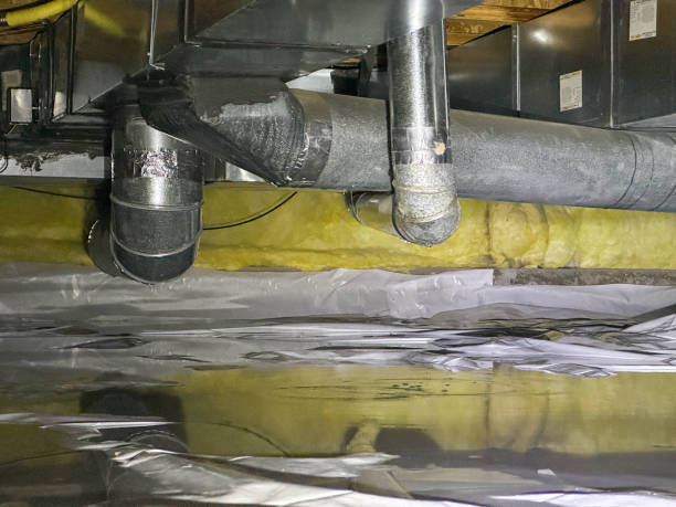 Best Fire Damage Restoration  in Red Boiling Springs, TN