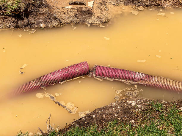 Best Basement water damage restoration  in Red Boiling Springs, TN