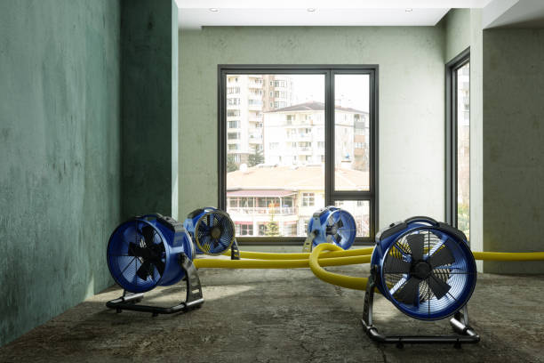 Best Commercial water damage restoration  in Red Boiling Springs, TN